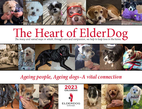 2023 Calendar
