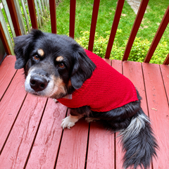 Hand-Knit Dog Sweaters