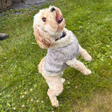 Hand-Knitted Dog Sweaters for Medium and Large Dogs