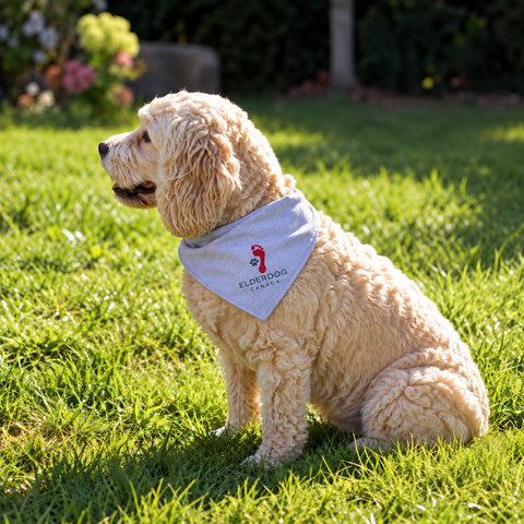 Dog Bandana/Kerchief