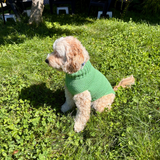 Hand-Knit Dog Sweater with Harness Hole