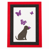 All occasion card