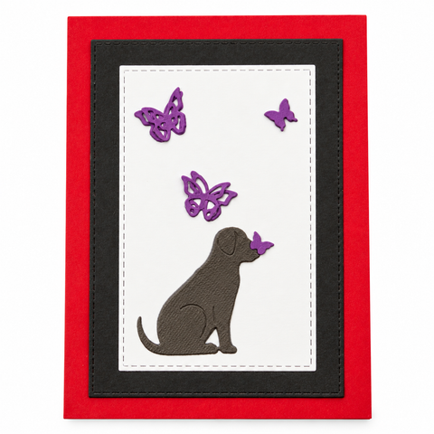 All occasion card
