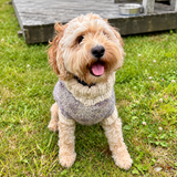Hand-Knitted Dog Sweaters for Medium and Large Dogs