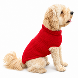 Hand-Knit Dog Sweater with Harness Hole