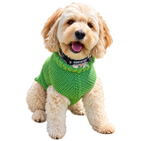 Hand-Knit Dog Sweater with Harness Hole